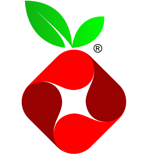Pi-hole Icon
